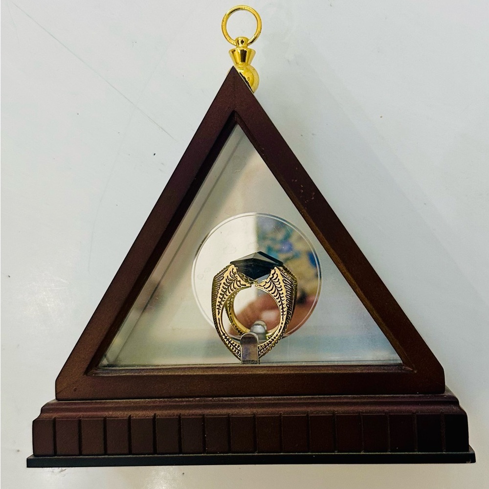 Harry Potter Voldemort’s ring with display case